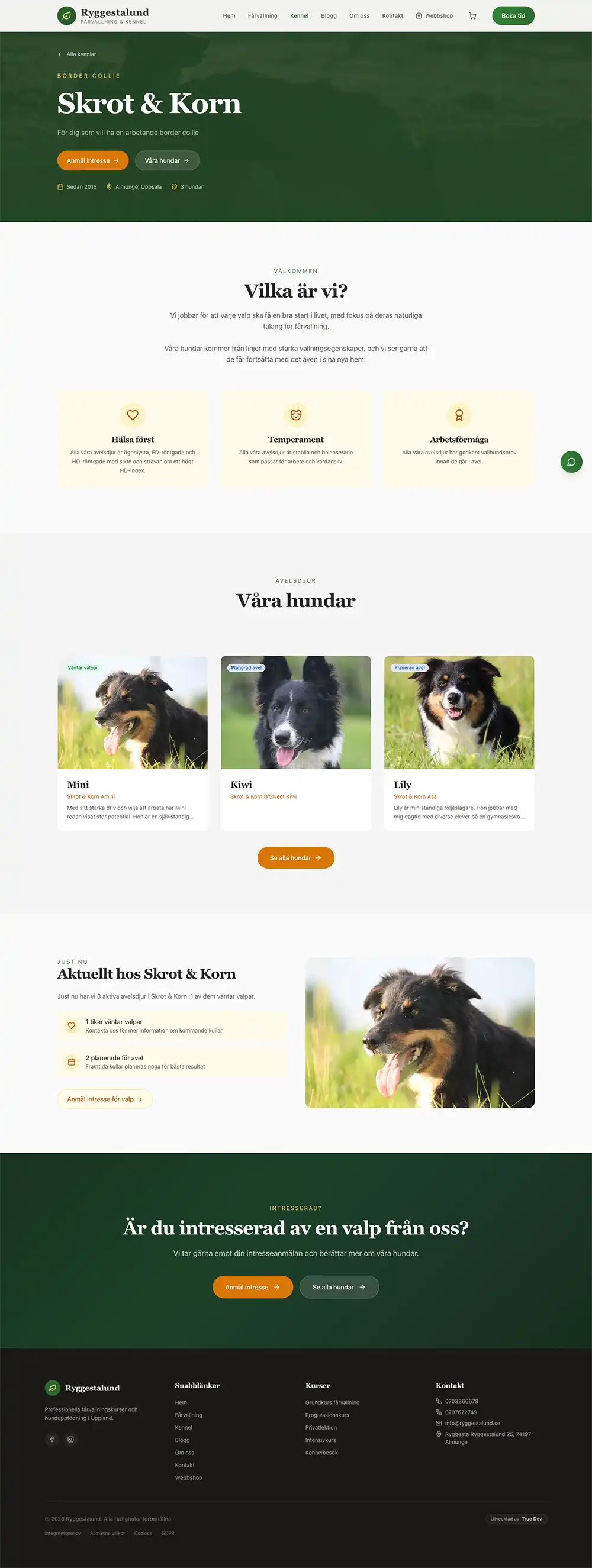 Ryggestalund screenshot 3