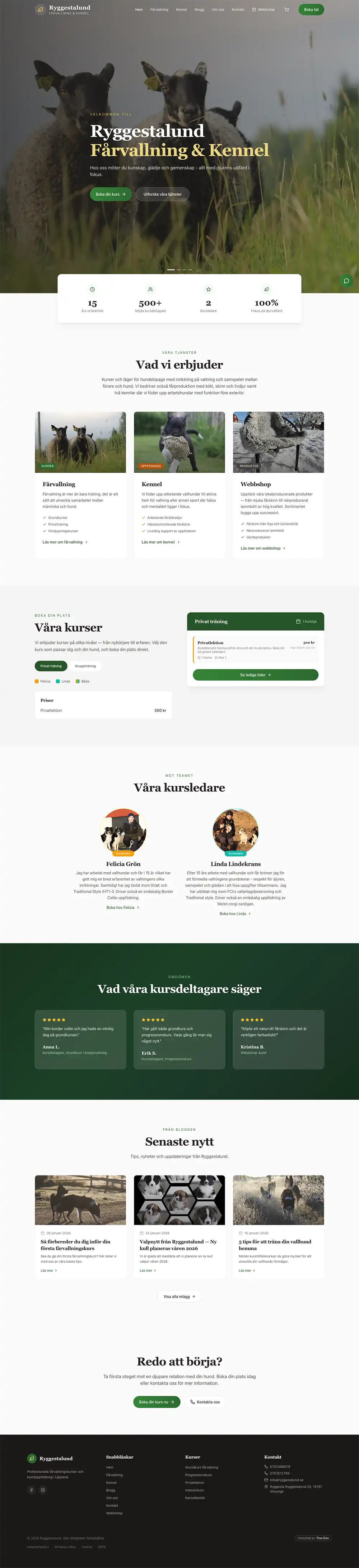 Ryggestalund screenshot 1